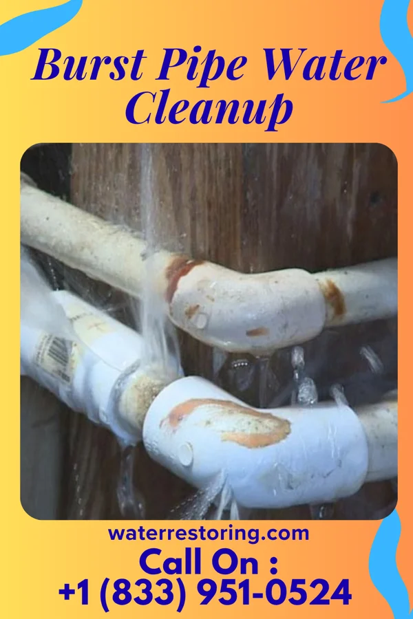 Burst Pipe Water Cleanup in Ganister, PA