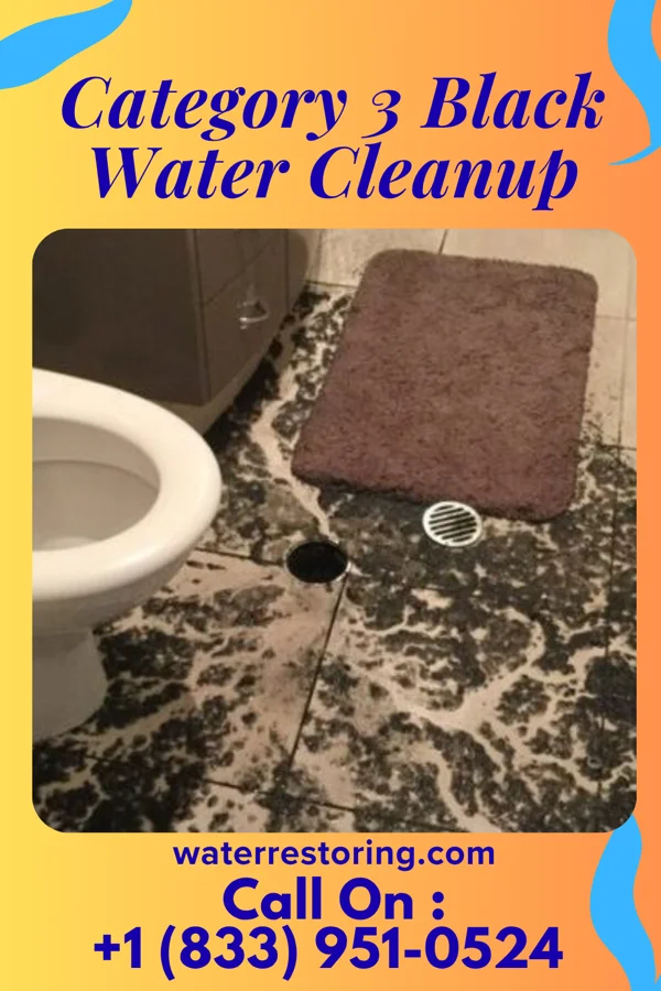 Category 3 Black Water Cleanup in Ganister, PA