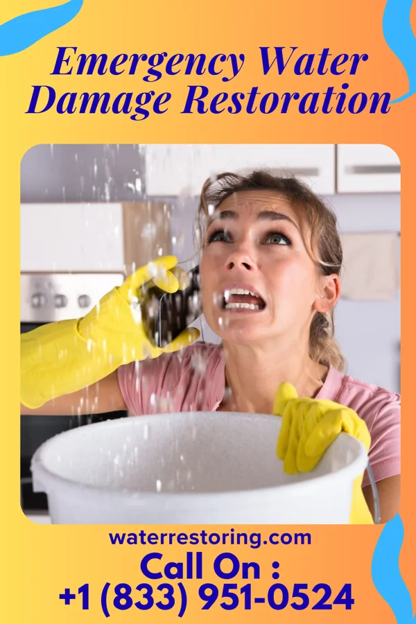 Emergency Water Damage Restoration in Ganister, PA