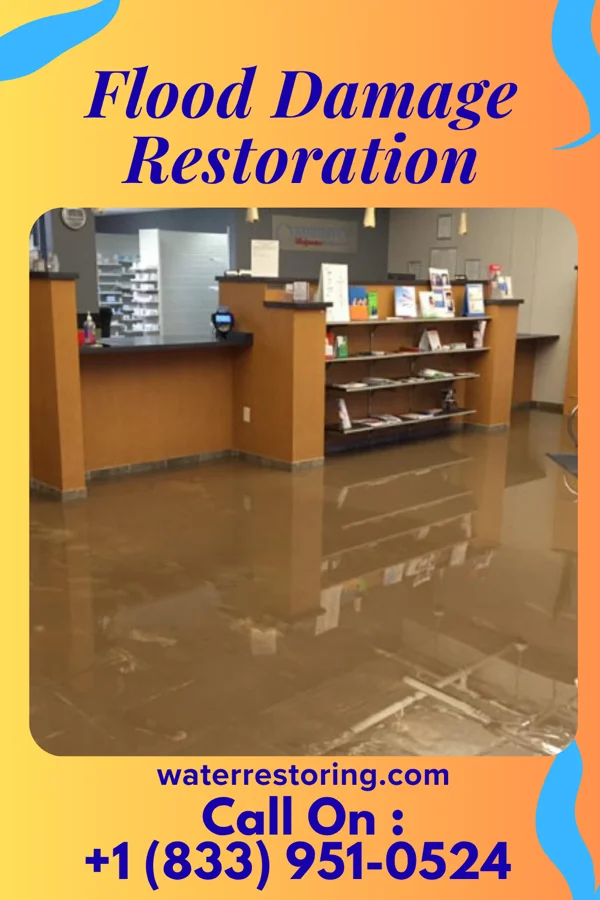 Flood Damage Restoration in Ganister, PA