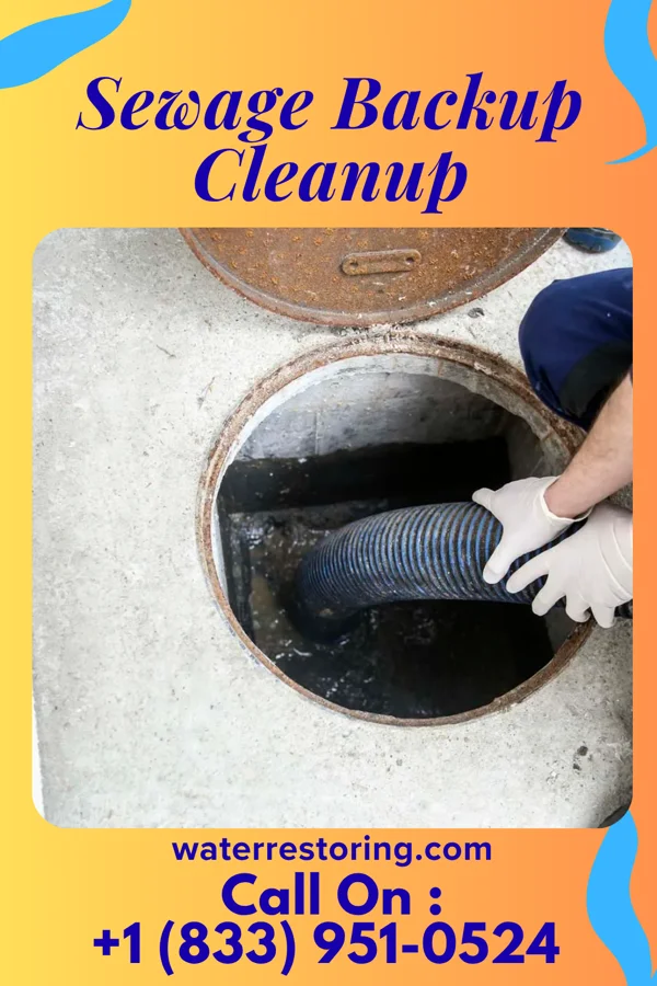 Sewage Backup Cleanup in Ganister, PA