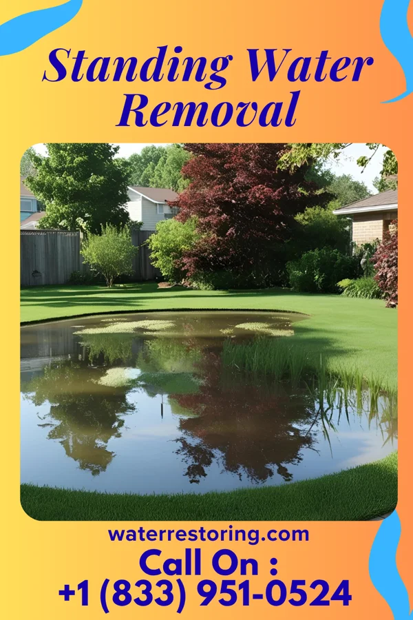 Standing Water Removal in Ganister, PA